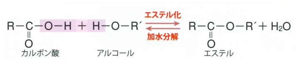 エステル化と逆反応
