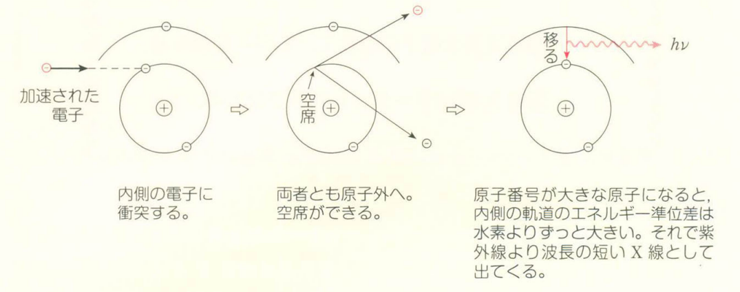 固有X