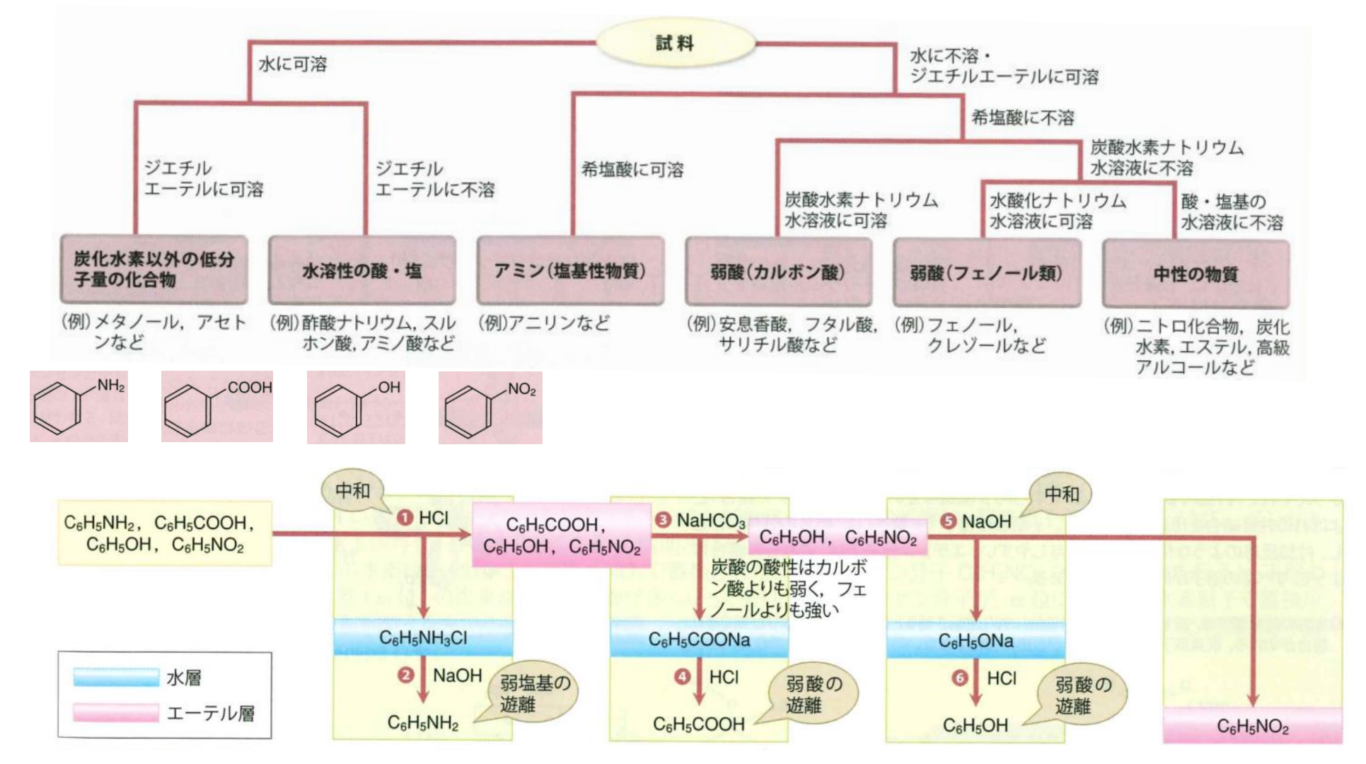 有機化合物の系統分離