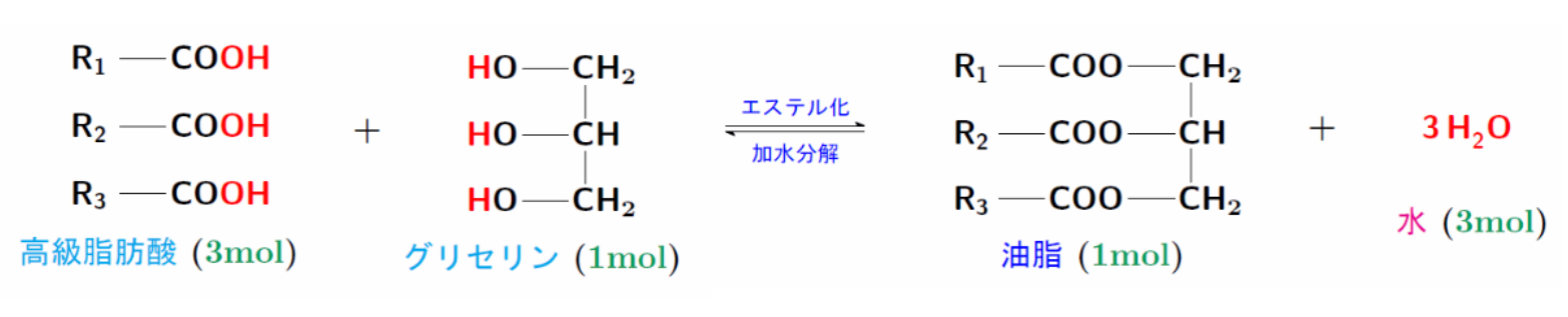 油脂