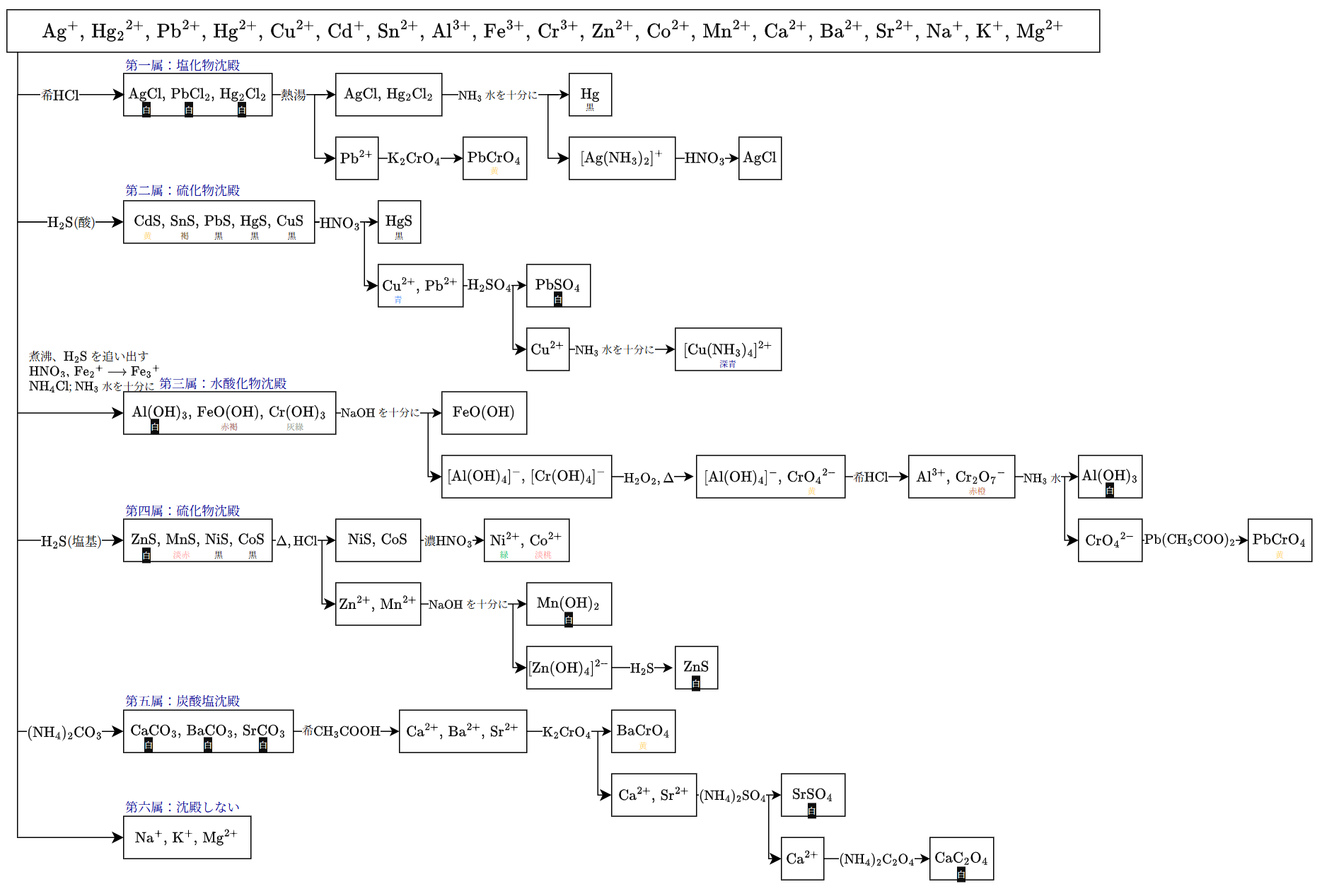 金属イオンの系統分析